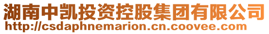 湖南中凱投資控股集團有限公司