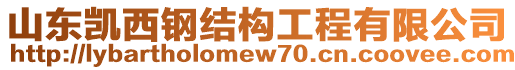 山東凱西鋼結(jié)構(gòu)工程有限公司