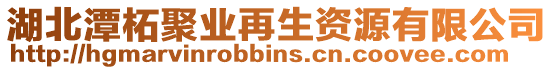 湖北潭柘聚業(yè)再生資源有限公司