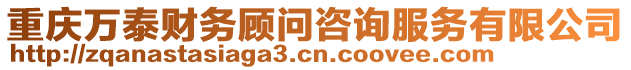 重慶萬泰財(cái)務(wù)顧問咨詢服務(wù)有限公司