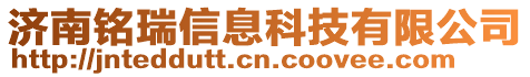 济南铭瑞信息科技有限公司