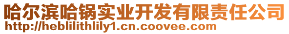 哈爾濱哈鍋實(shí)業(yè)開(kāi)發(fā)有限責(zé)任公司