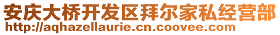 安庆大桥开发区拜尔家私经营部