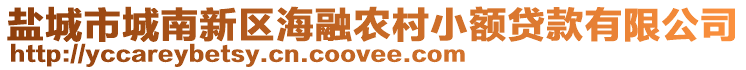 鹽城市城南新區(qū)海融農(nóng)村小額貸款有限公司