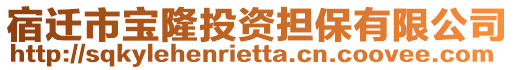 宿迁市宝隆投资担保有限公司