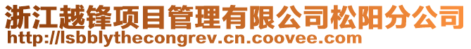 浙江越锋项目管理有限公司松阳分公司