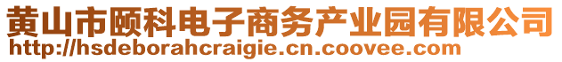 黃山市頤科電子商務(wù)產(chǎn)業(yè)園有限公司