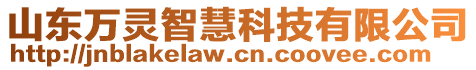 山東萬靈智慧科技有限公司