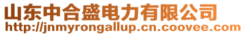 山東中合盛電力有限公司