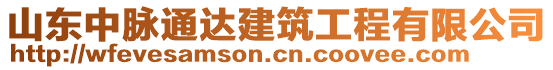 山東中脈通達(dá)建筑工程有限公司