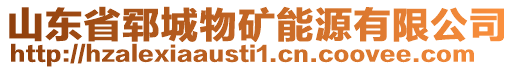 山東省鄆城物礦能源有限公司