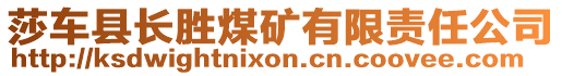 莎車縣長勝煤礦有限責(zé)任公司