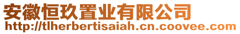 安徽恒玖置業(yè)有限公司