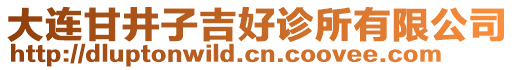 大连甘井子吉好诊所有限公司