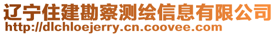 辽宁住建勘察测绘信息有限公司