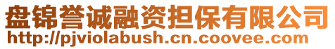 盘锦誉诚融资担保有限公司