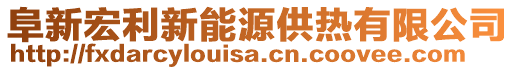 阜新宏利新能源供熱有限公司