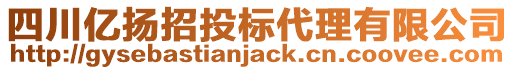 四川億揚(yáng)招投標(biāo)代理有限公司