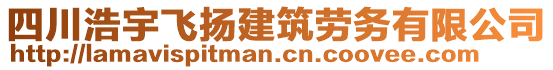 四川浩宇飛揚建筑勞務有限公司