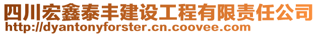 四川宏鑫泰丰建设工程有限责任公司