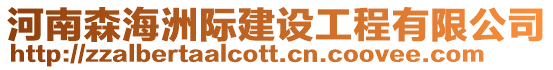 河南森海洲際建設工程有限公司