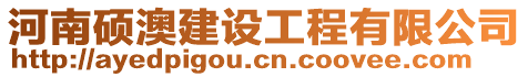 河南碩澳建設工程有限公司