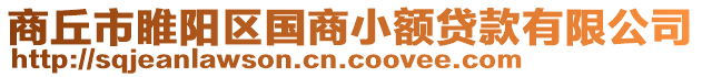 商丘市睢阳区国商小额贷款有限公司