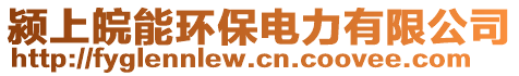 潁上皖能環(huán)保電力有限公司