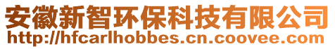 安徽新智環(huán)保科技有限公司