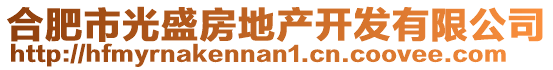 合肥市光盛房地产开发有限公司