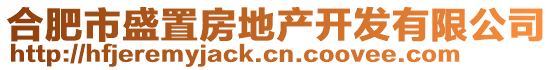 合肥市盛置房地產(chǎn)開(kāi)發(fā)有限公司