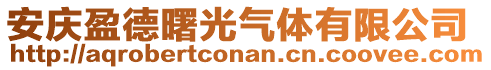 安庆盈德曙光气体有限公司