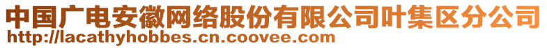 中国广电安徽网络股份有限公司叶集区分公司