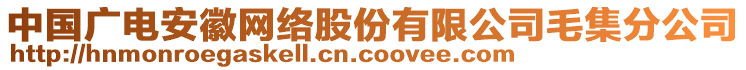 中國廣電安徽網(wǎng)絡股份有限公司毛集分公司