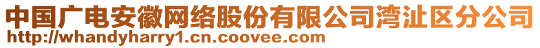 中國廣電安徽網(wǎng)絡(luò)股份有限公司灣沚區(qū)分公司