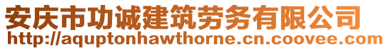 安慶市功誠建筑勞務(wù)有限公司