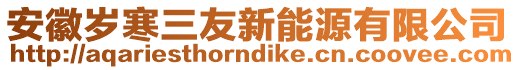 安徽歲寒三友新能源有限公司