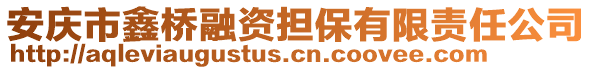 安慶市鑫橋融資擔(dān)保有限責(zé)任公司