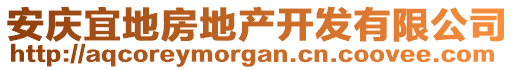 安庆宜地房地产开发有限公司