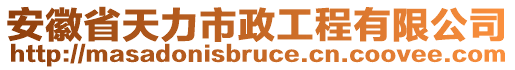 安徽省天力市政工程有限公司