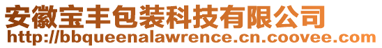 安徽宝丰包装科技有限公司