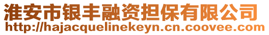 淮安市銀豐融資擔保有限公司