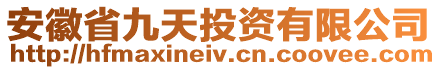 安徽省九天投资有限公司