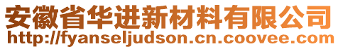 安徽省華進(jìn)新材料有限公司