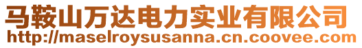 馬鞍山萬達電力實業(yè)有限公司