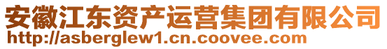 安徽江东资产运营集团有限公司