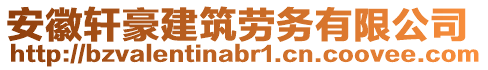 安徽軒豪建筑勞務(wù)有限公司