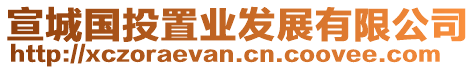 宣城國(guó)投置業(yè)發(fā)展有限公司