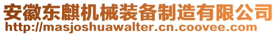 安徽東麒機(jī)械裝備制造有限公司