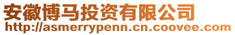 安徽博馬投資有限公司